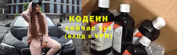 шишки Пестово