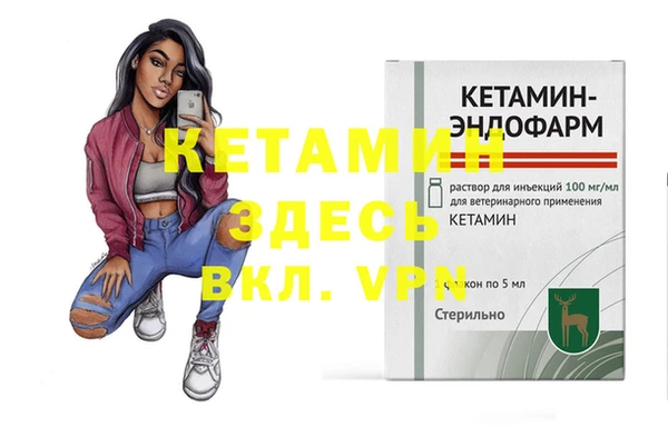 шишки Пестово
