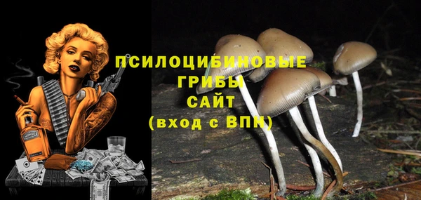 альфа пвп Арсеньев