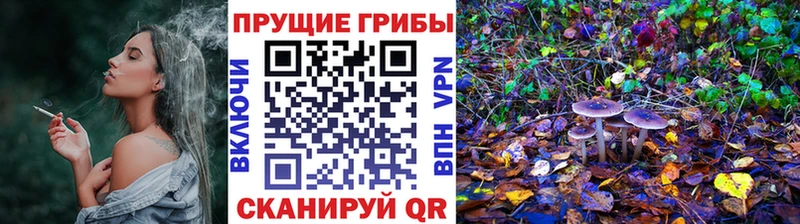 Галлюциногенные грибы мухоморы Калтан
